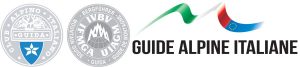 logo_guide